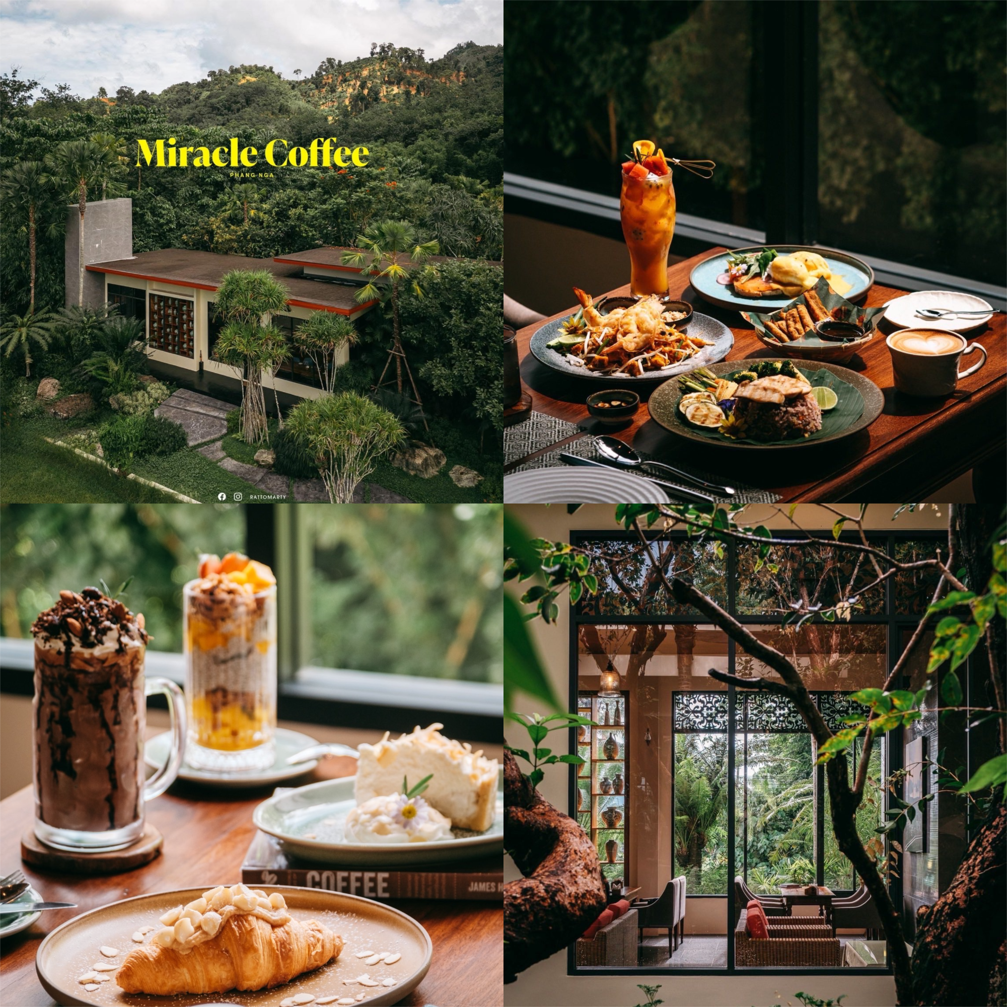 Miracle Coffee