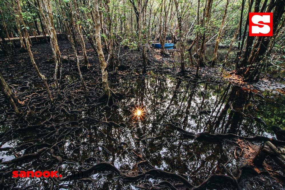 ชุมชนบ้านท่าระแนะ