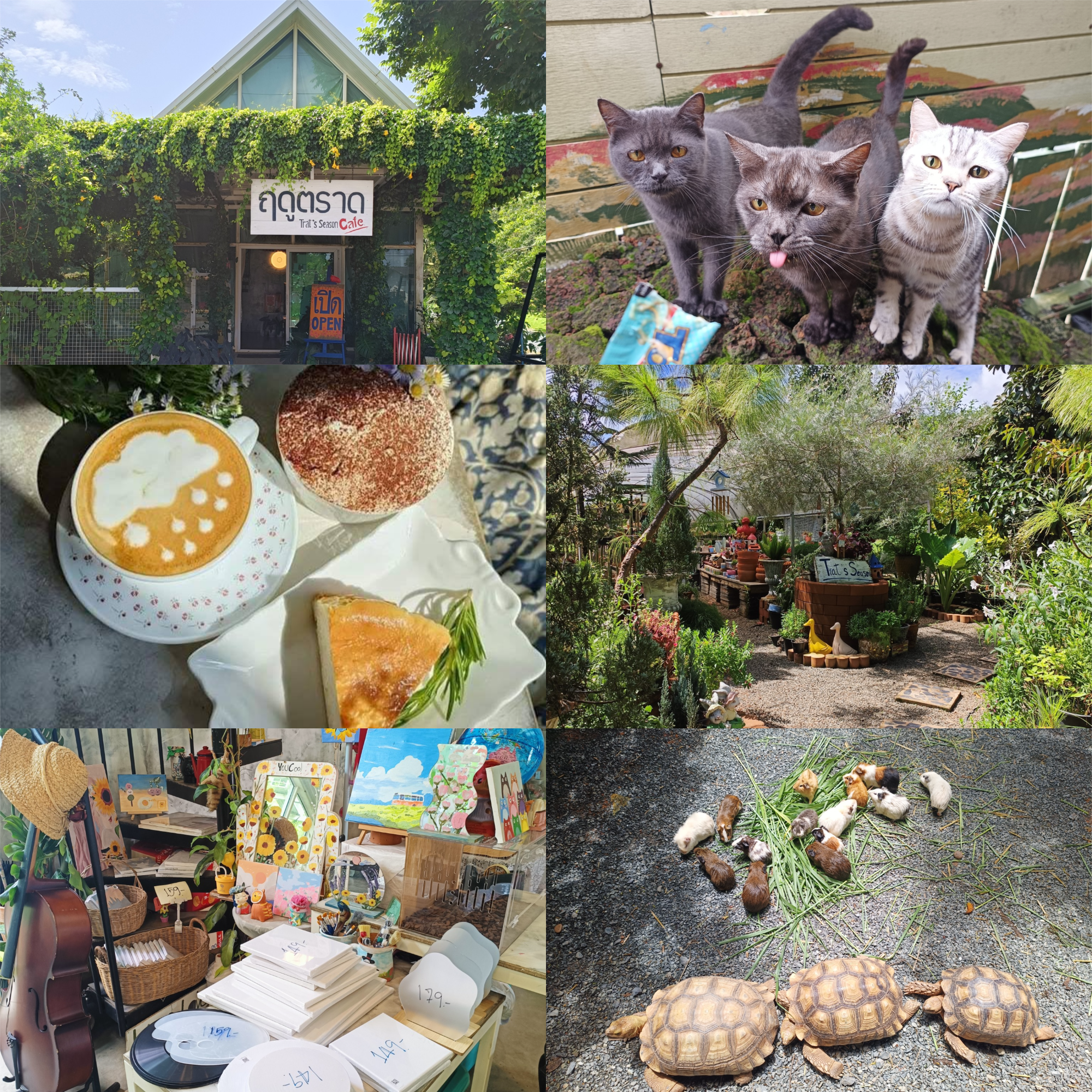 ฤดูตราด Trat's Season