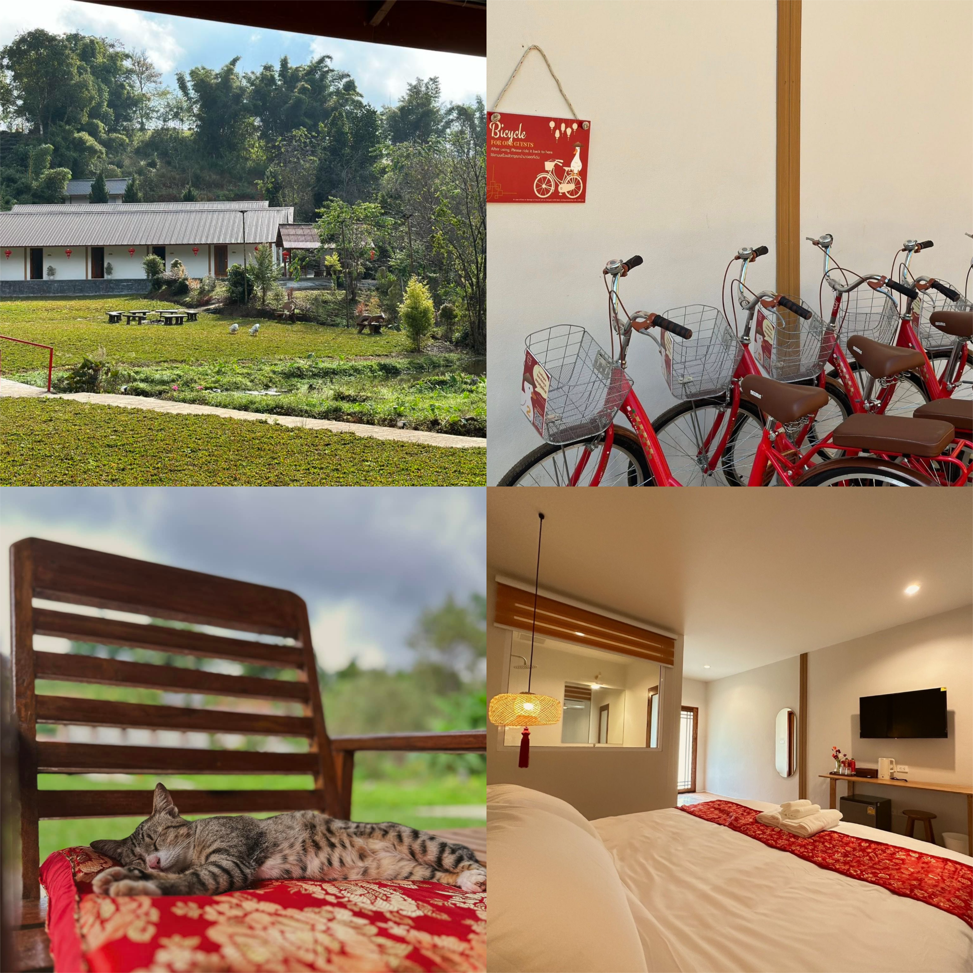 Baan Daeng Resort บ้านรักไทย แม่ฮ่องสอน