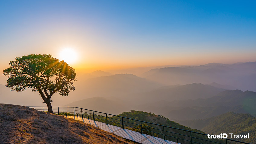 ดอยพุ่ยโค