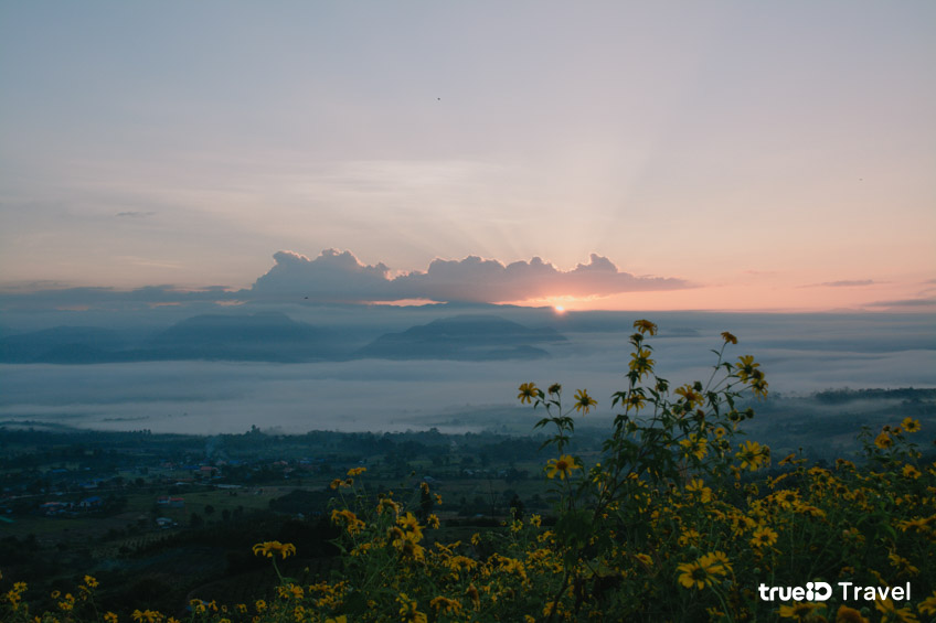 ทะเลหมอกหยุนไหล