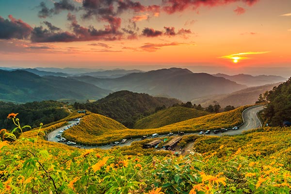 ทุ่งดอกบัวตอง