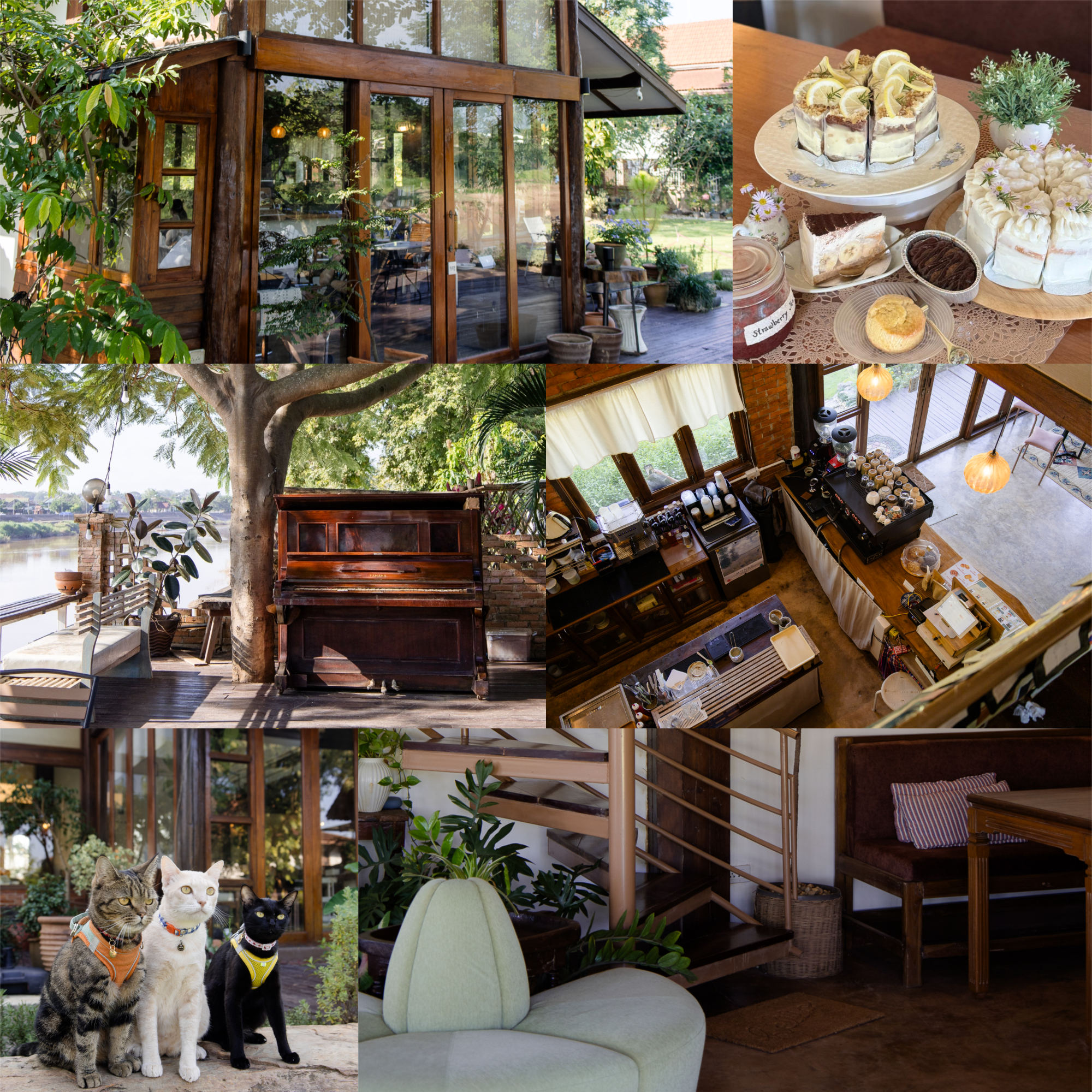 น่านริมน้ำ