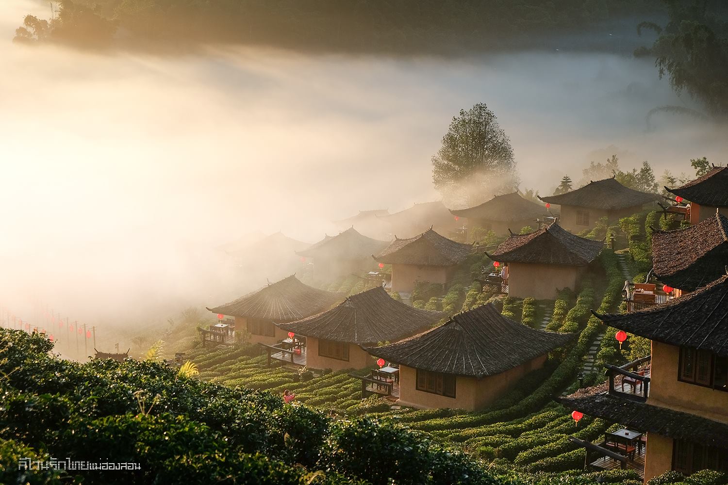 ลีไวน์ รักไทย รีสอร์ท