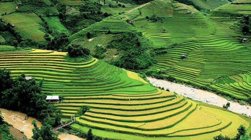 โครงการหลวงแม่ลาน้อย