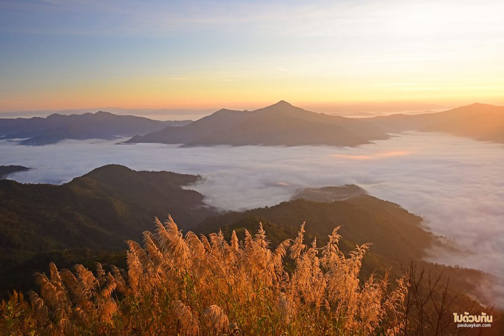 ดอยผาตั้ง