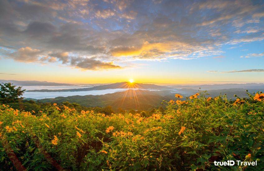 ดอยหัวแม่คำ