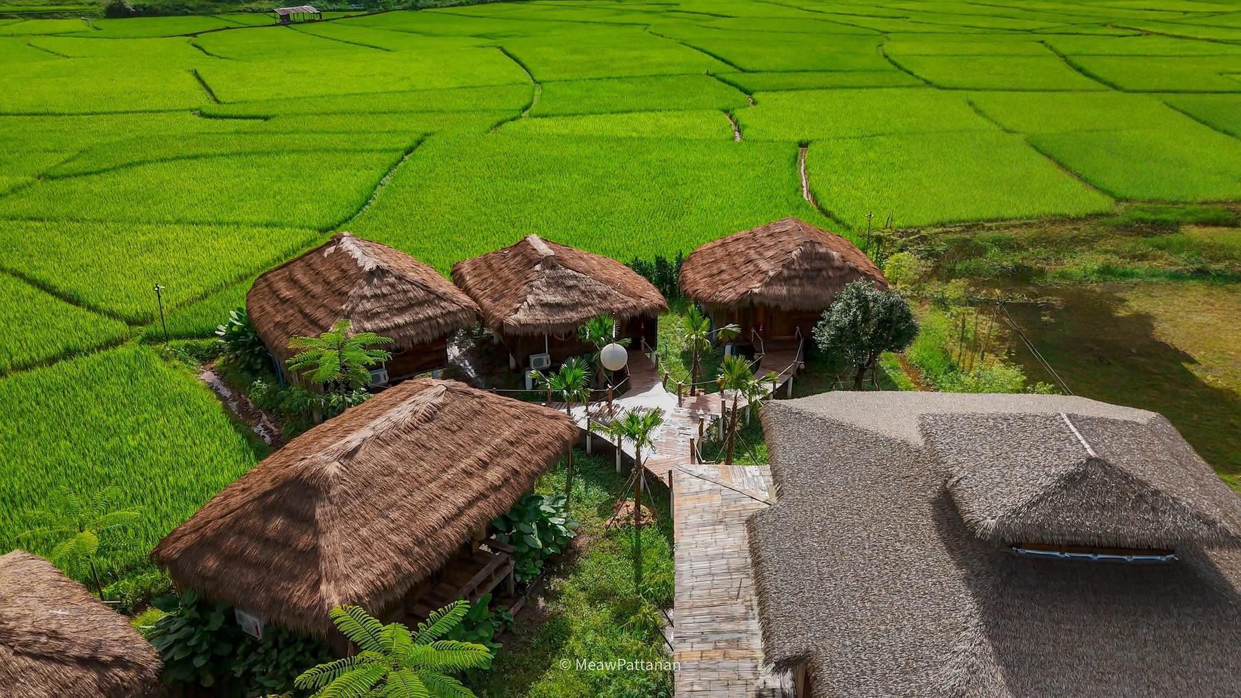 นา เขา เรา สะปัน