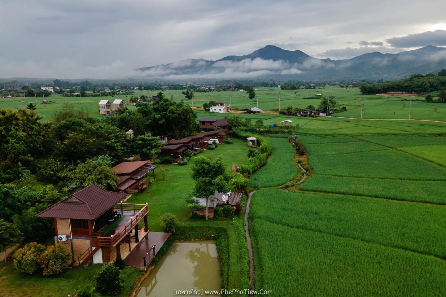 บ้านไม้ ปลายนา