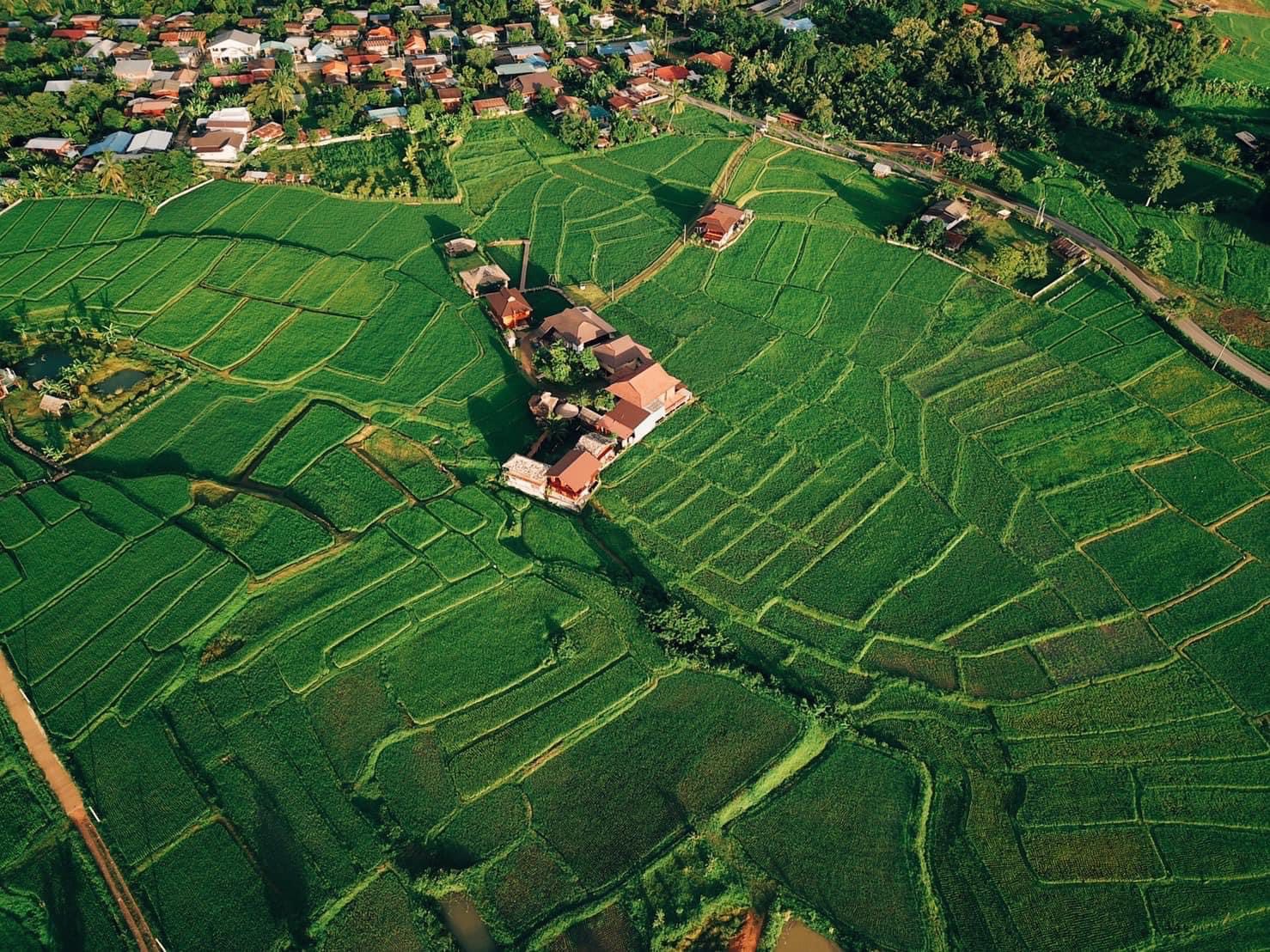 ฟาร์มสเตย์ ที่พักโรงเรียนชาวนา