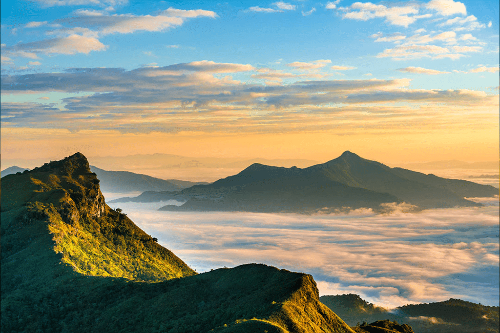 ภูชี้ดาว