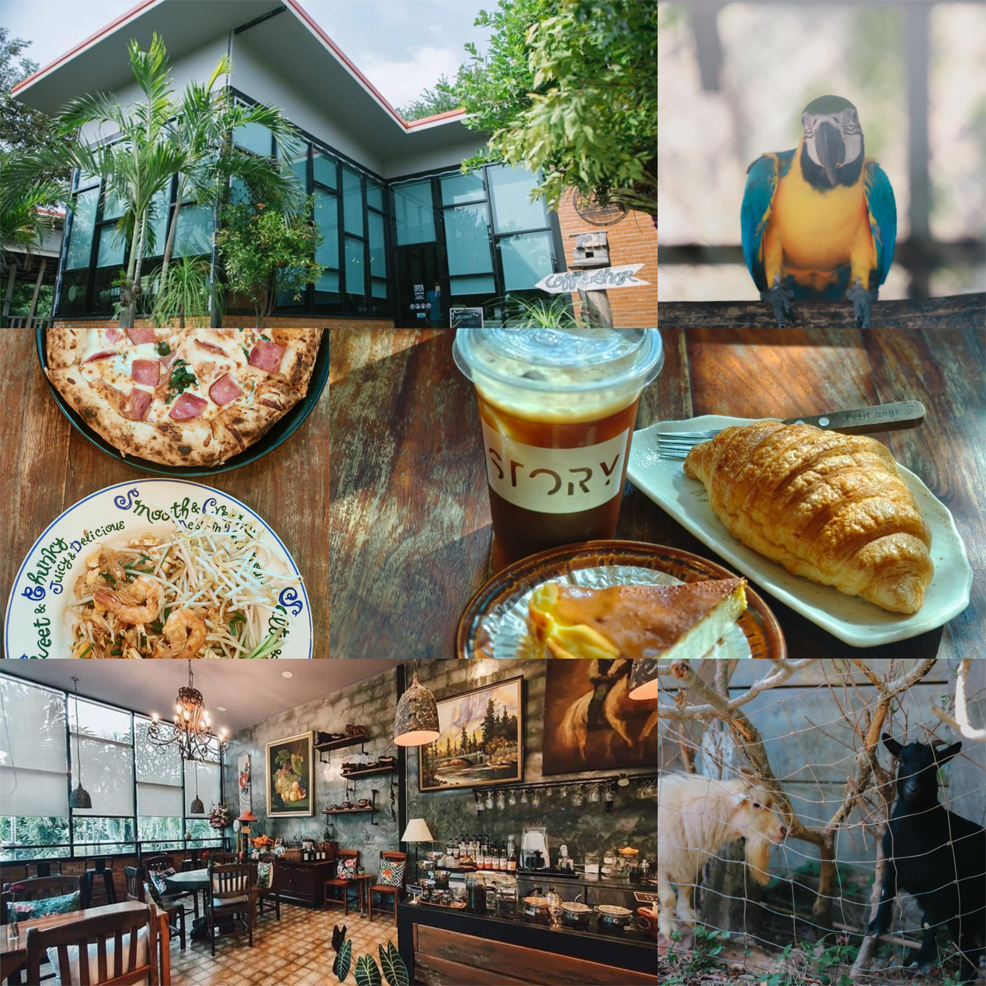 เรื่องเล่าร้านกาแฟ (The story)