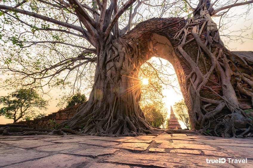 วัดพระงาม