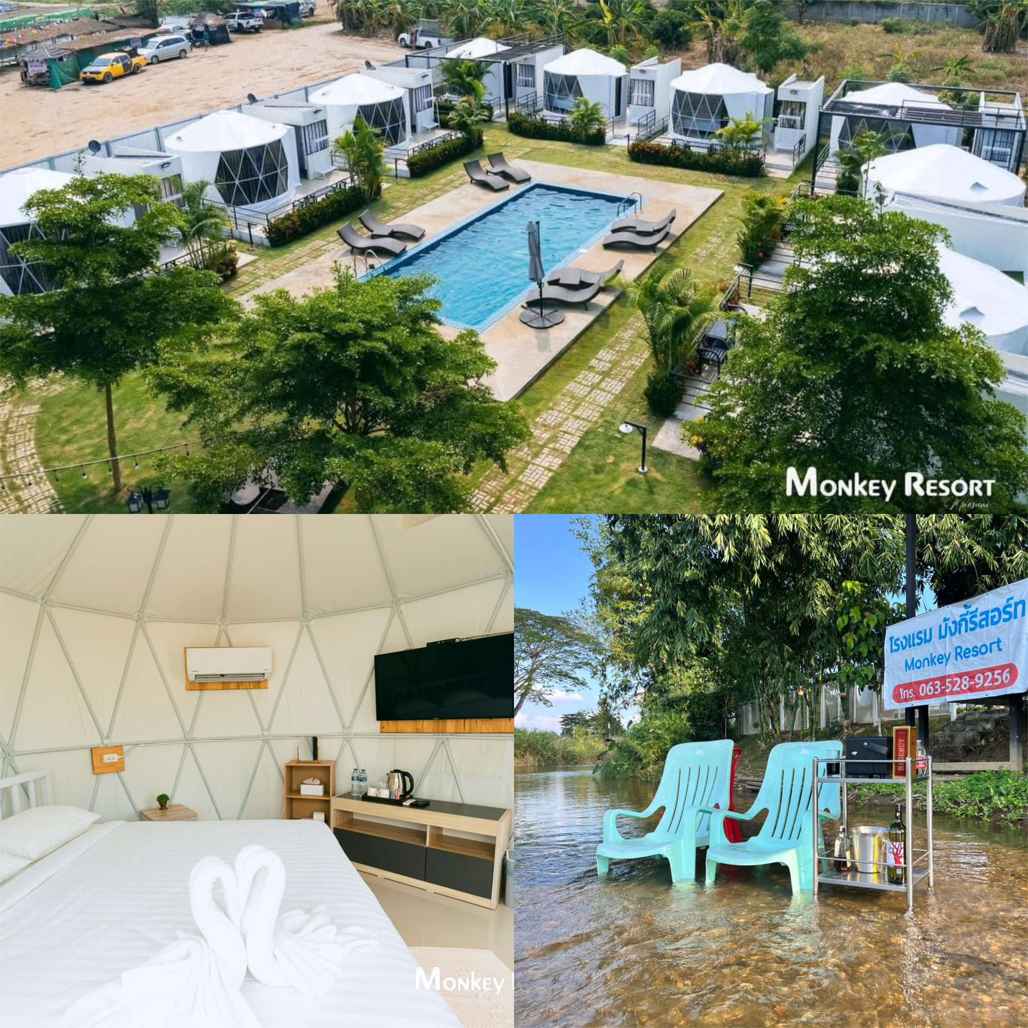 Monkeyresort Chiangrai