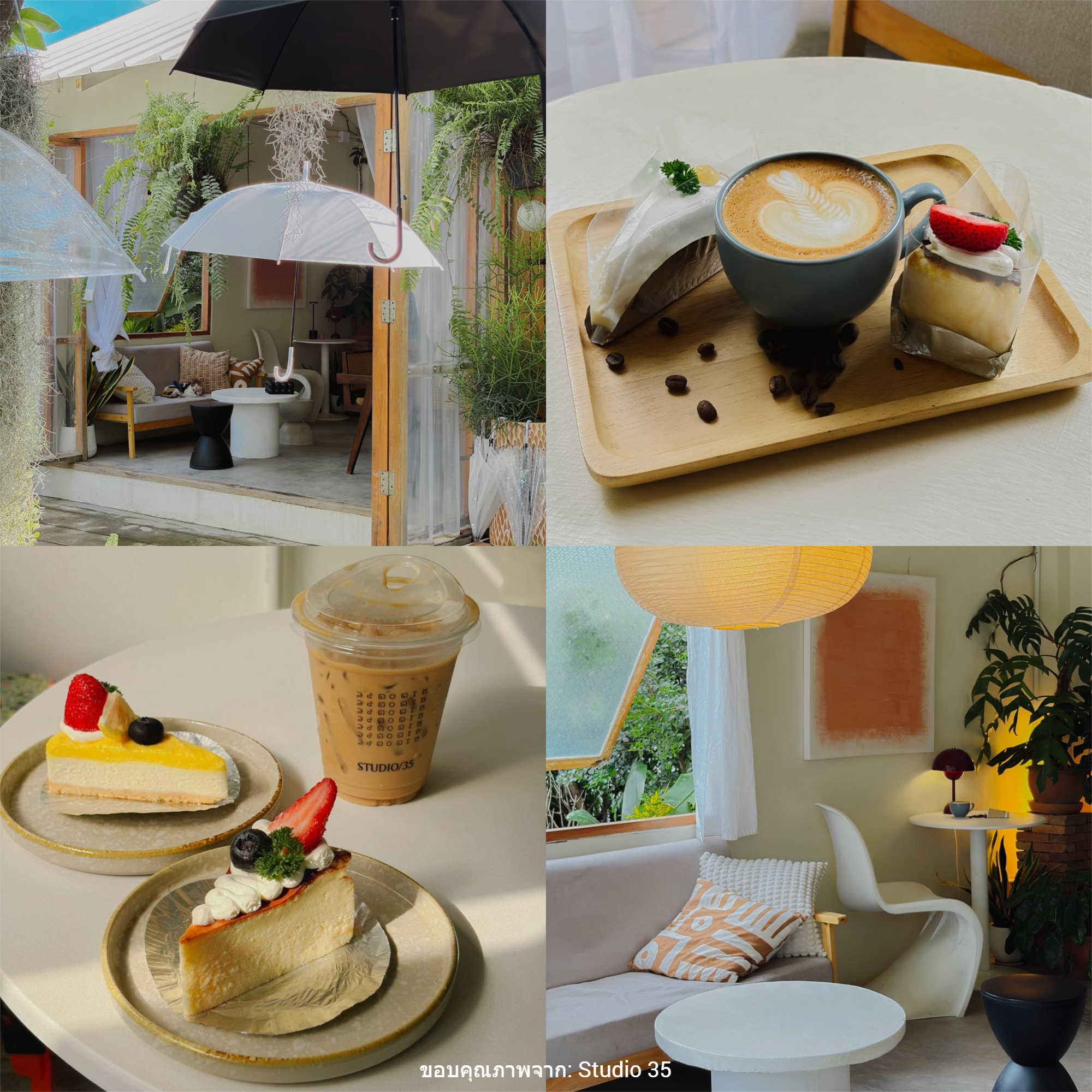 Studio 35 coffee house