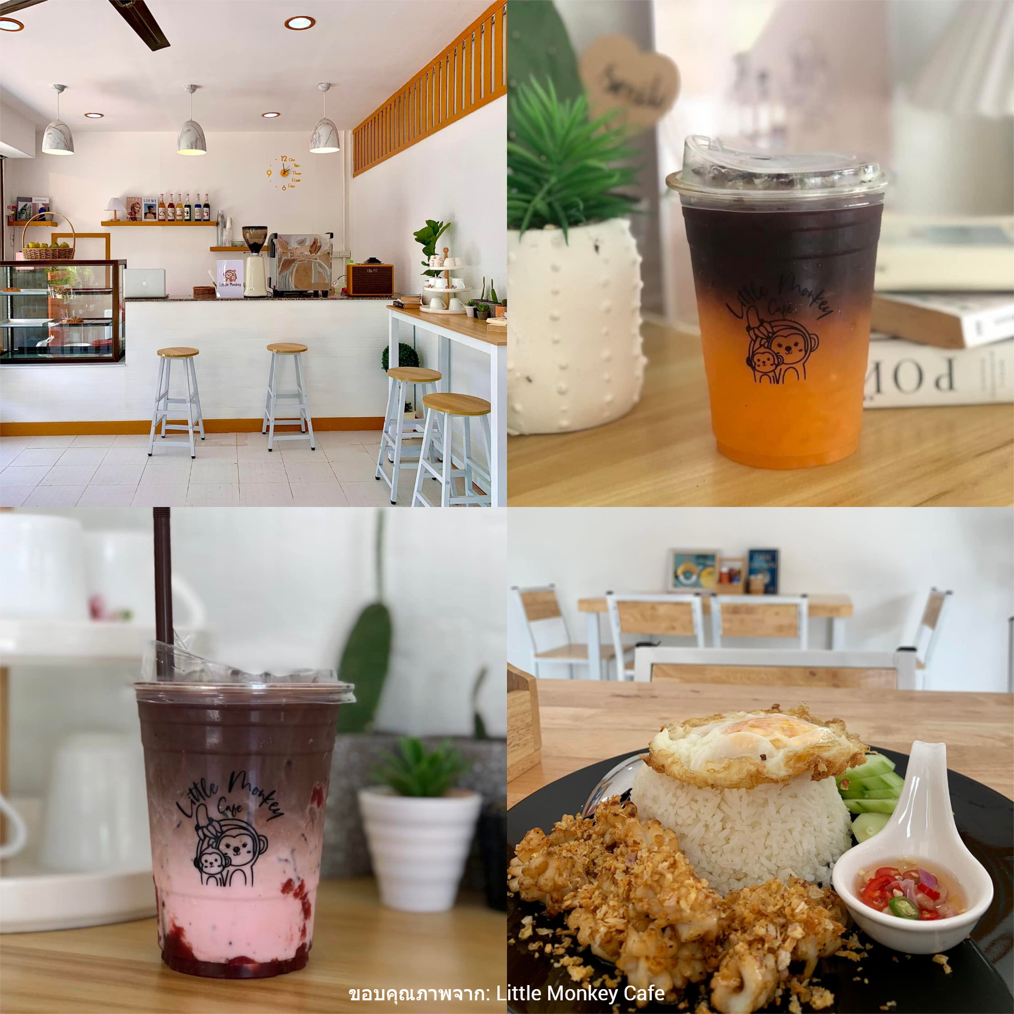 Little Monkey Café