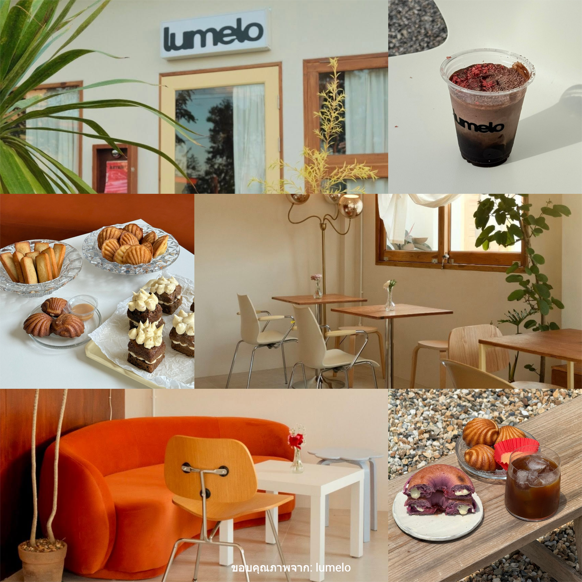 lumelo