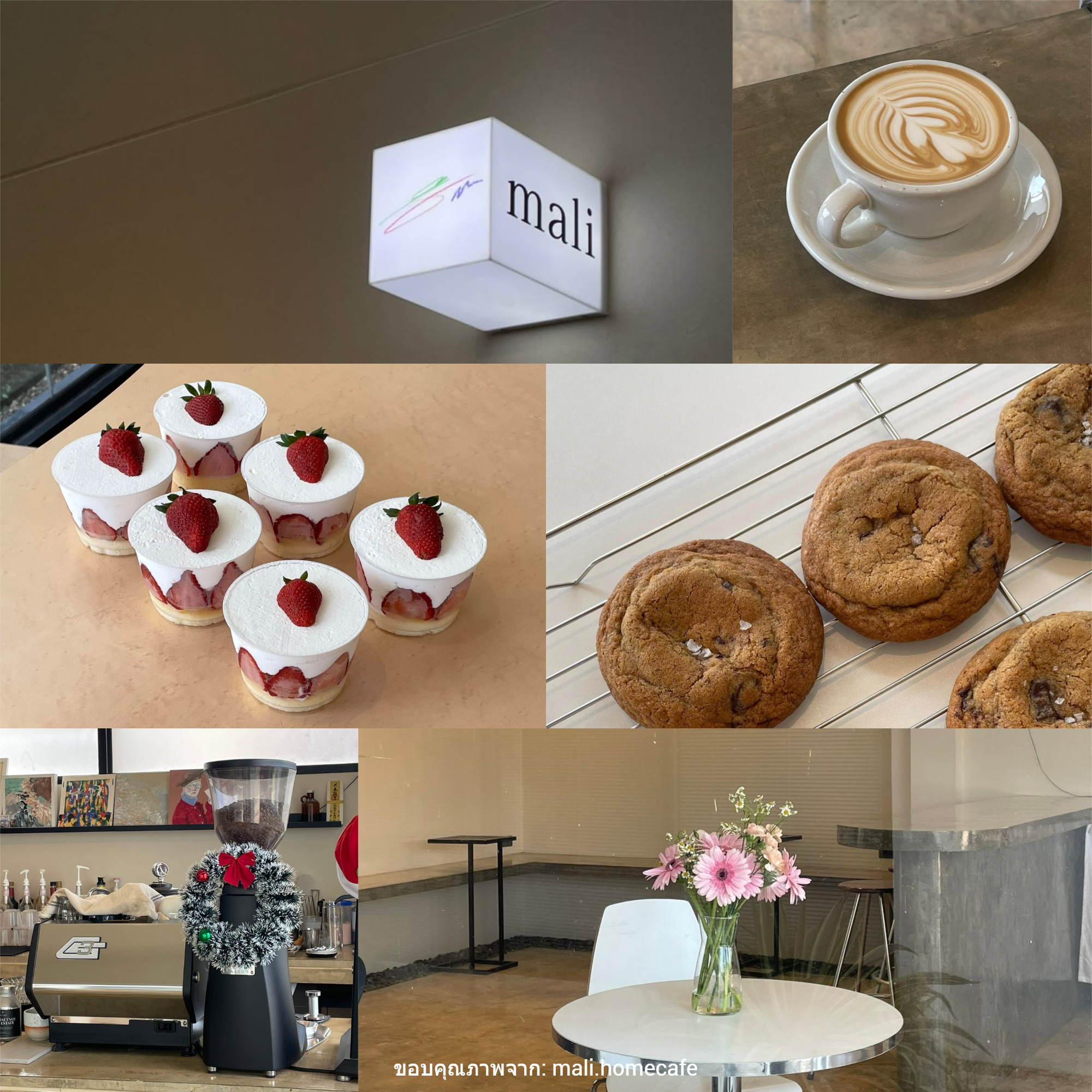 คาเฟ่พะเยา mali.homecafe