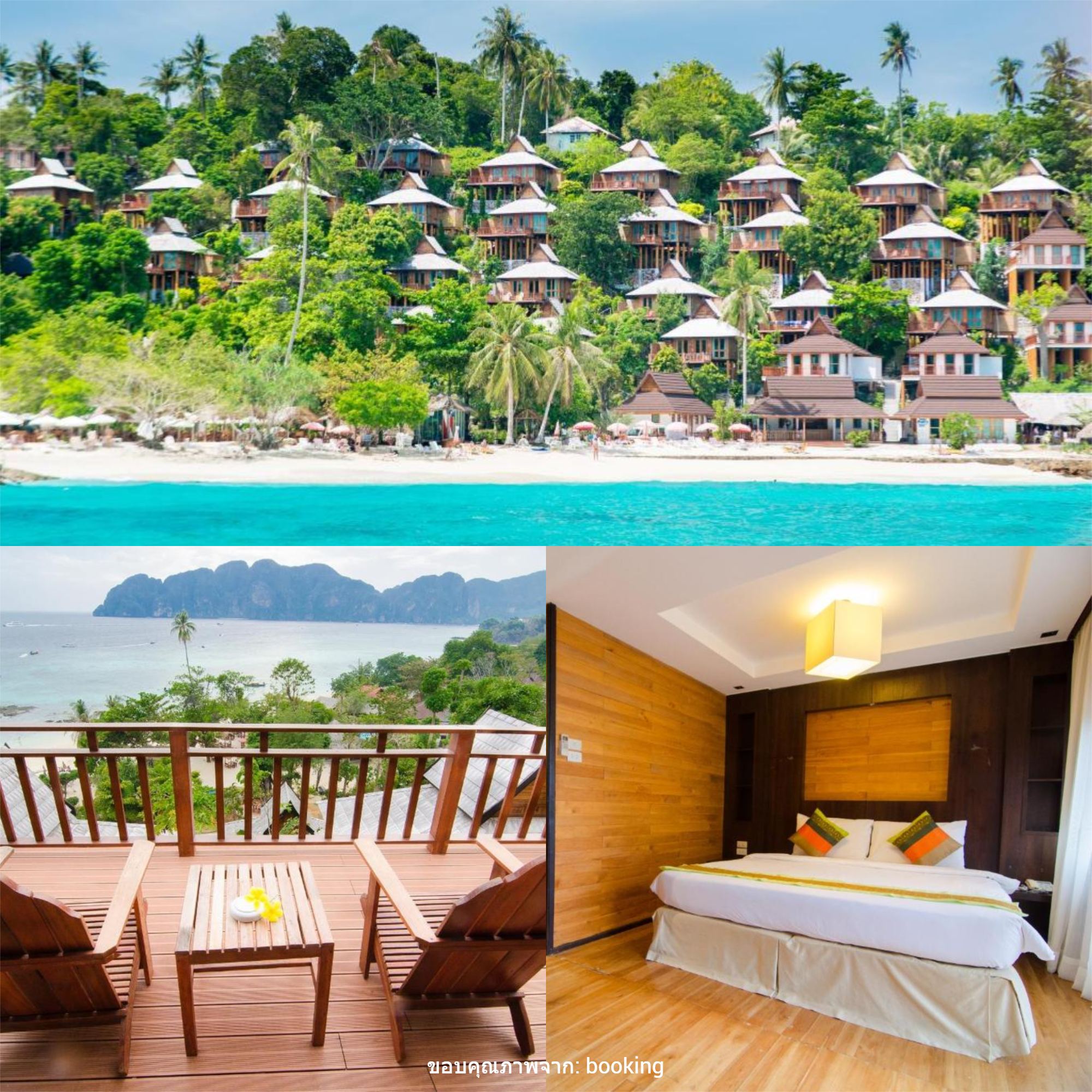 พีพี เดอะ บีช รีสอร์ท ( Phi Phi The Beach Resort )