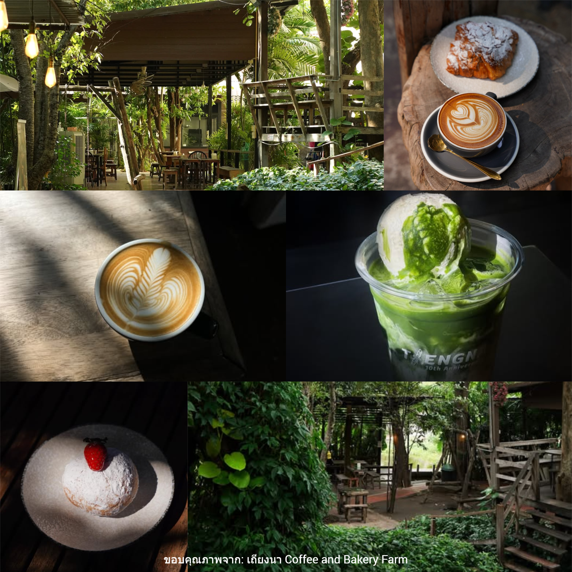 เถียงนา Coffee and Bakery Farm