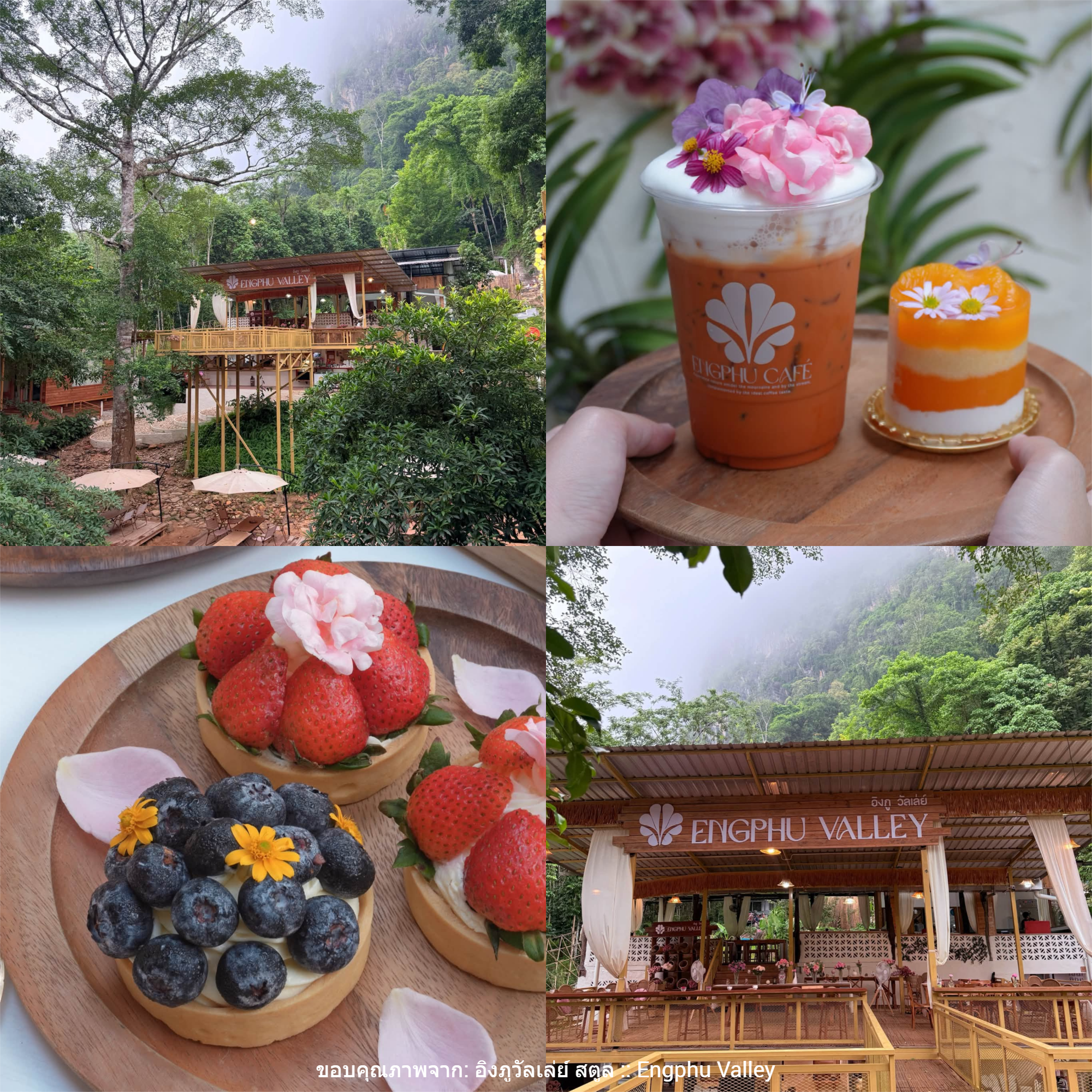 อิงภูวัลเล่ย์ สตูล (Engphu Valley)