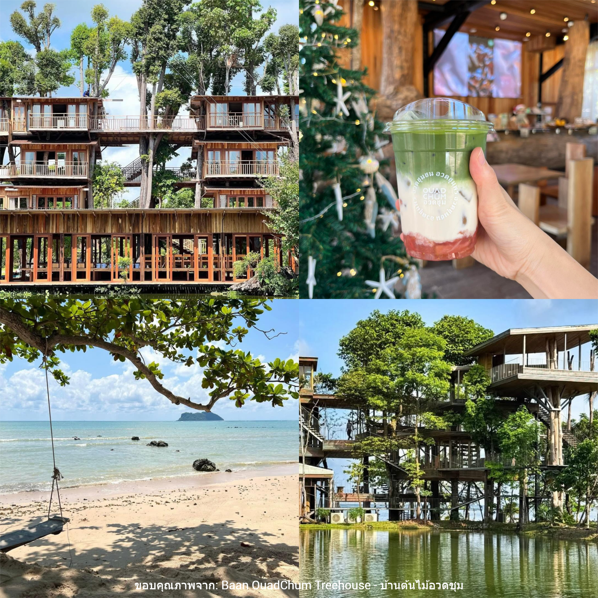 บ้านต้นไม้อวดชุม