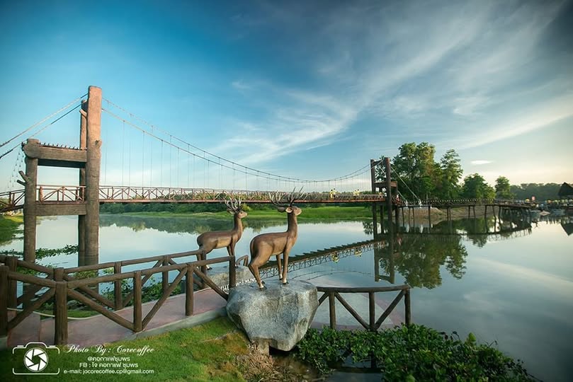 สะพานชมกวาง