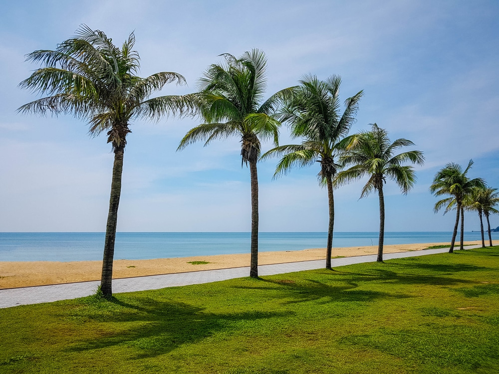 หาดชลาทัศน์