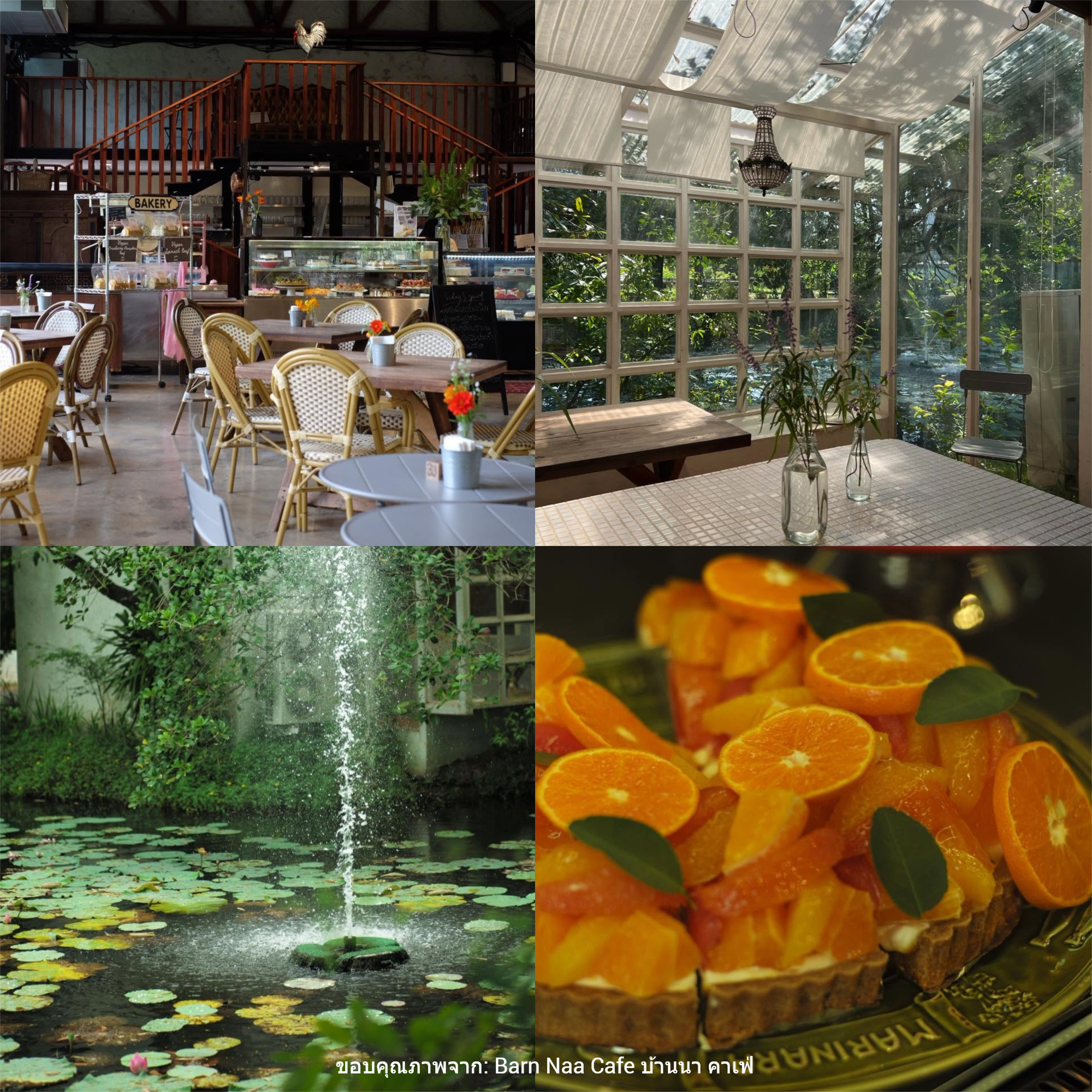 Barn Naa Cafe บ้านนา คาเฟ่