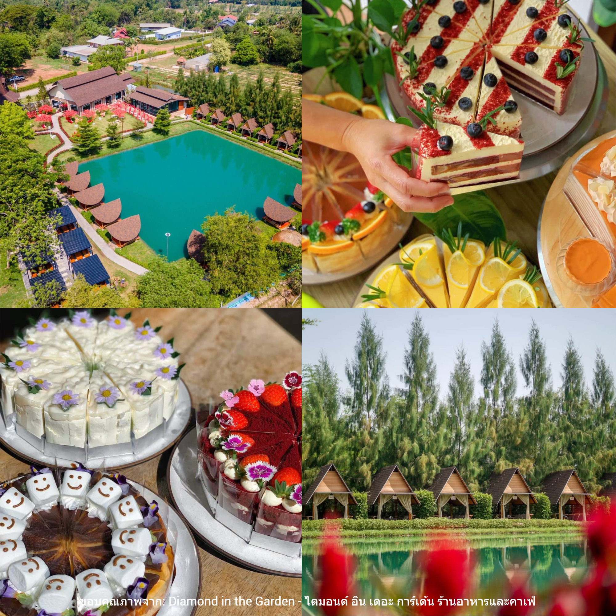 Diamond in the Garden - ไดมอนด์ อิน เดอะ การ์เด้น ร้านอาหารและคาเฟ่